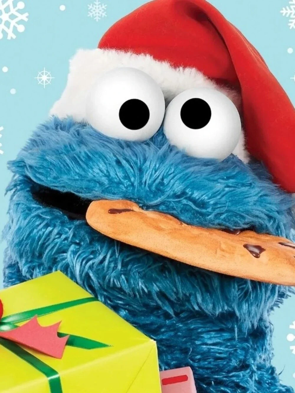 Sesame Street Cookie Monster Bundle